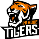 Prague Tigers Grey